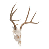 Allen Company Steel Trophy Wall Hook 1/8" Thick Black - 2-Hooks/Pack