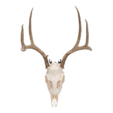 Allen Company Steel Trophy Wall Hook 1/8" Thick Black - 2-Hooks/Pack