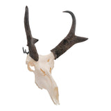 Allen Company Steel Trophy Wall Hook 1/8" Thick Black - 2-Hooks/Pack