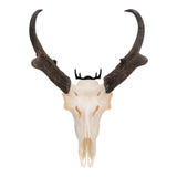 Allen Company Steel Trophy Wall Hook 1/8" Thick Black - 2-Hooks/Pack