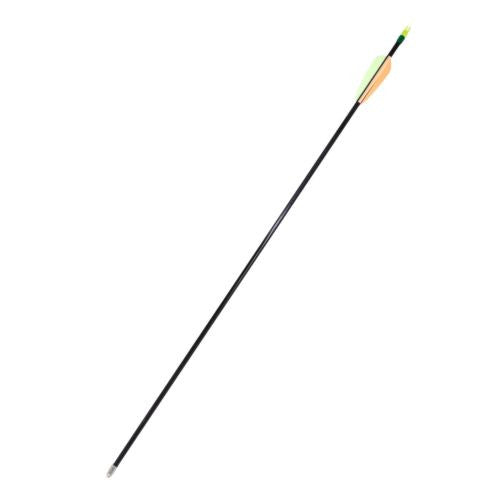 SAS Fiberglass Arrows for Long/ Recurve Bows - 1 DZ