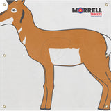 Morrell NASP-IBO Life Size Archery Target Face - 6 Designs Available