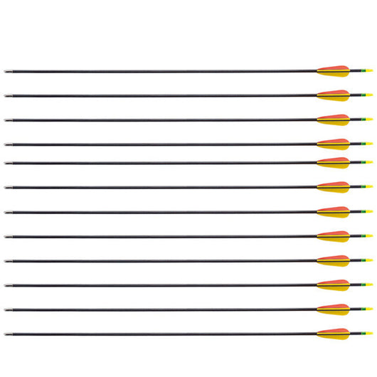 SAS Fiberglass Arrows Flatched with Vanes Nocks Recurve 1 DZ - Open Box