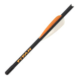 Allen Company Titan Fiberglass Crossbow Decocking Bolt 12.25"L - Multi-Color