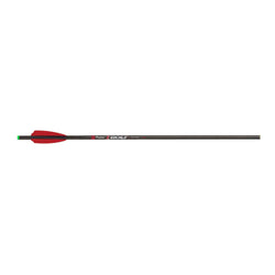 Victory Archery XBolt 20