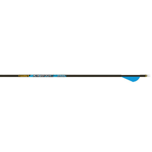 Gold Tip Kinetic Kaos Arrows 200 with 2