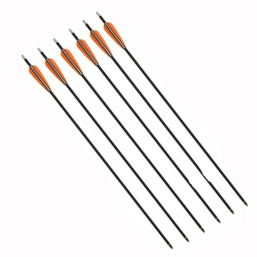 SAS Wizard Carbon Arrows 28