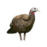 AvianX Turkey Decoys LCD Series - 6 Styles Available