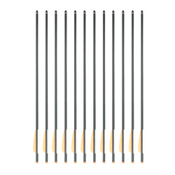 SAS Honor Carbon Crossbow Bolts 20