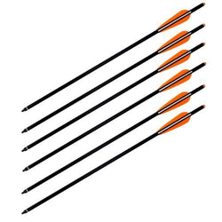 Wizard Carbon Fiber Crossbow Bolts - 6/Pack (20