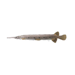 Rinehart Yellow Fin Gar Target 3D Target
