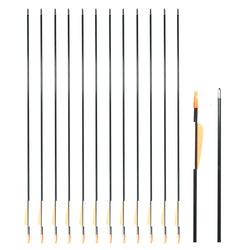 SAS Fiberglass Arrow 28
