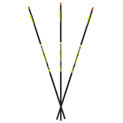 Carbon Express D-Stroyer Arrows 400/500 Fletched - 6/Pack