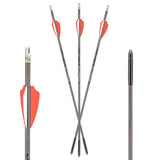 Axe 19" AX440 Bolt Combo Pack with Axe Lit Nocks -3 Bolts & 3 Lighted Nocks