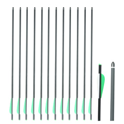 SAS Honor Carbon Crossbow Bolts 22