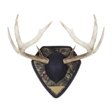 Allen Company Big Buck Trophy Mounting Kit - Mossy Oak Break-Up Country Camo