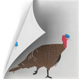 Morrell NASP-IBO Turkey Two Sided Lifesize Target Face